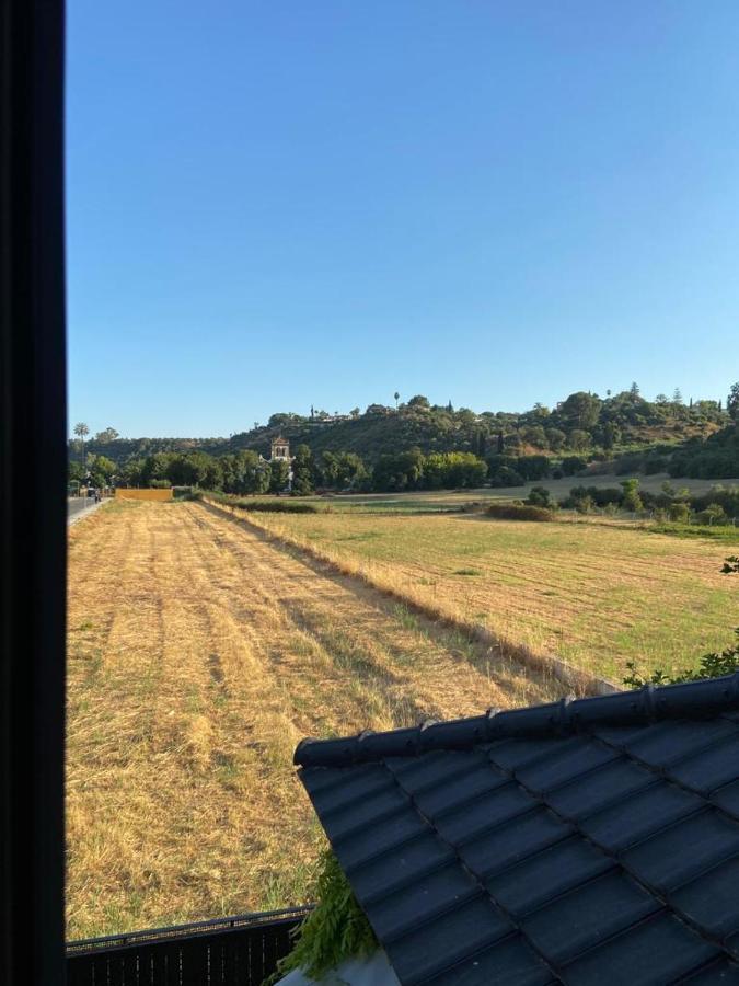 Paz Y Tranquilidad, A Un Paso De Sevilla