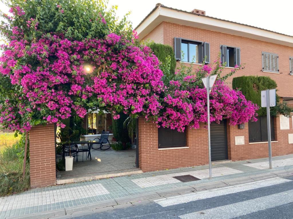 Ferienhaus Paz Y Tranquilidad, A Un Paso De Sevilla San Juan de Aznalfarache