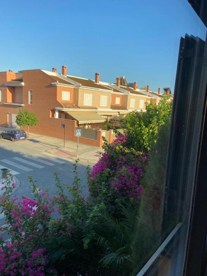 Paz Y Tranquilidad, A Un Paso De Sevilla Ferienhaus